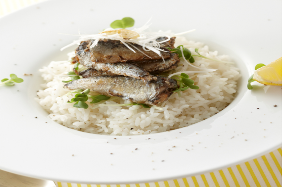 Canned Sardines in Soybean Oil